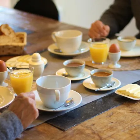 Frühstückspension Casa Cholavila 4*